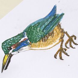 鳥を描く