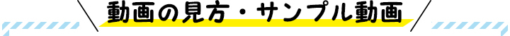 動画の見方・サンプル動画