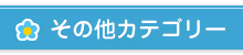 その他カテゴリー